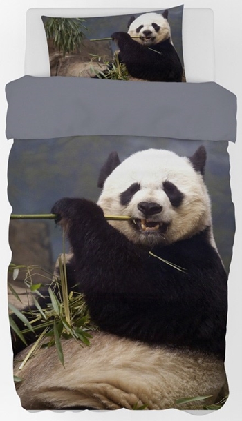 Panda bedding - 140x200 cm - Large and adorable panda bear - 100% cotton bedding set